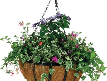 World Source Partners - Forge Hanging Basket With Coco Liner Discount