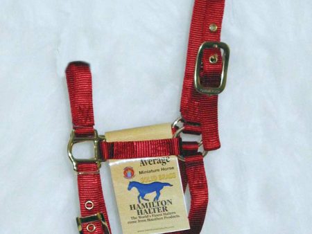 Hamilton Halter Company - Adjustable Miniature Horse Halter Sale