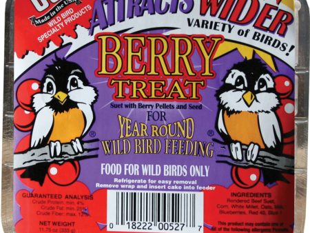 C And S Products Co Inc P - Berry Treat Suet Online now