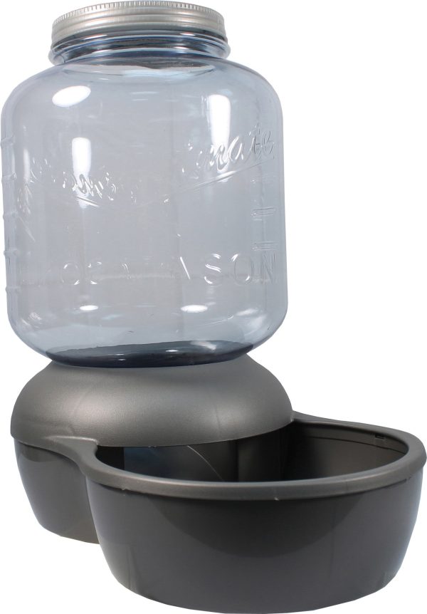 Petmate Inc - Mason Jar Replendish Dry Food Feeder For Cheap